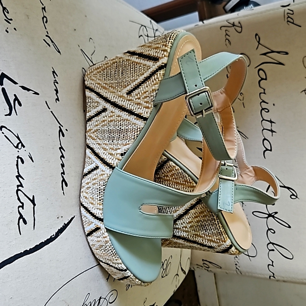 Blue Wedges